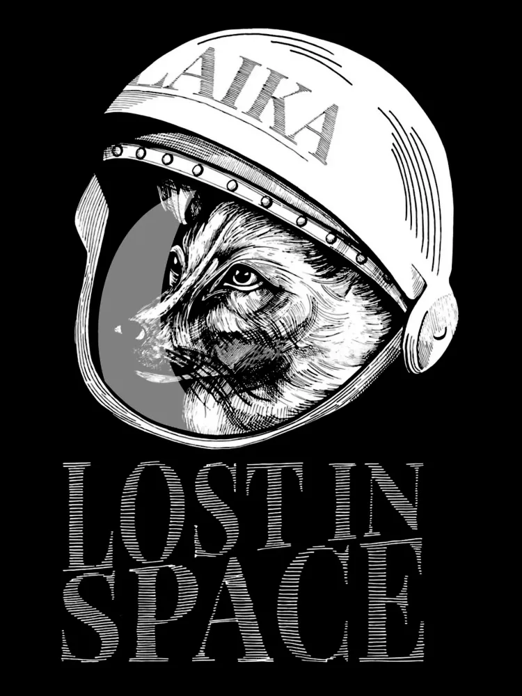 TeesBlitz Collection T-Shirt maglia Lost in Space Timeless Space SPACE004 - immagine 2