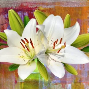 Tela Quadro Misure 70×150 Canvas –   Collezione Quadri floreali cod. FLP-53
