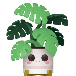 Monstera Monstera