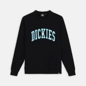 Dickies Felpa Uomo Aitkin Gc