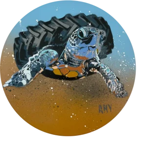 TURTLE TURTLE