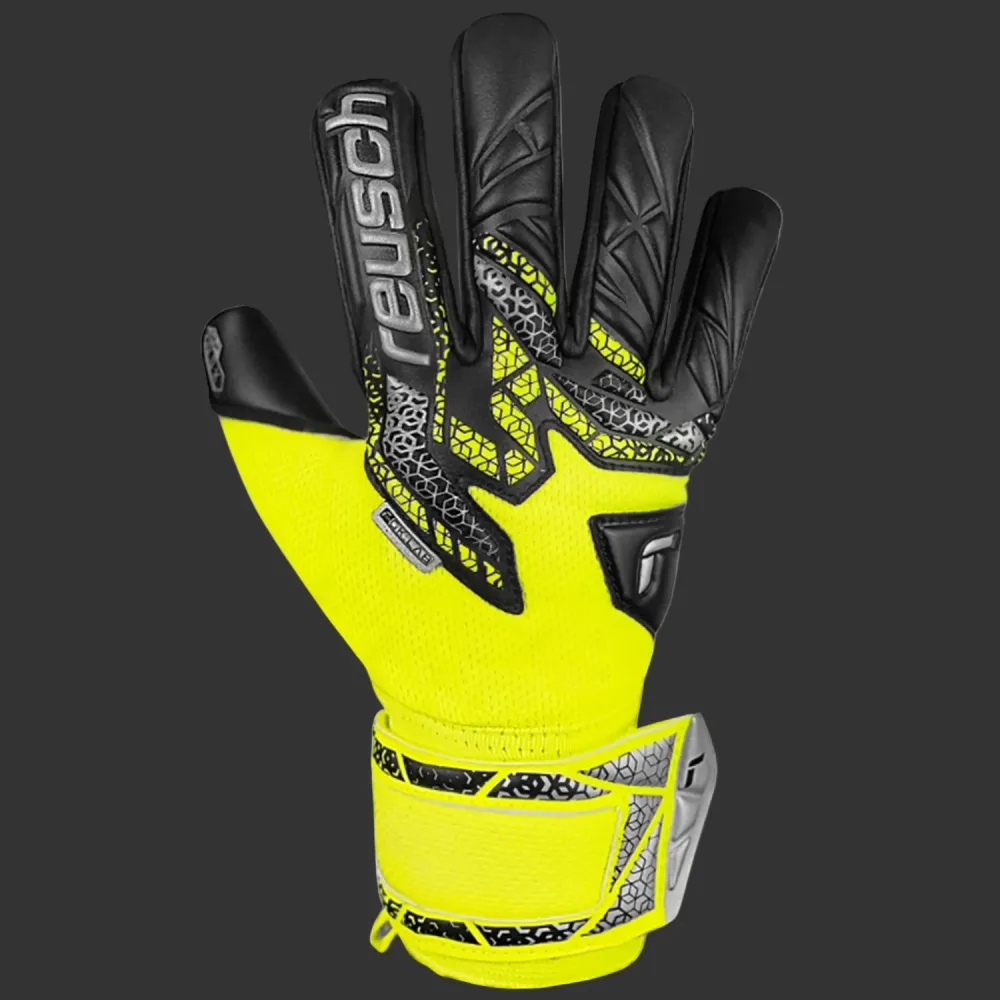 ATTRAKT GOLD X NC JUNIOR - immagine 3
