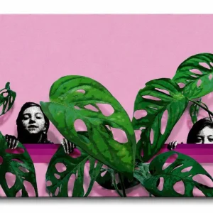 SERIE BOTANICA: MONSTERA ADANSONII SERIE BOTANICA: MONSTERA ADANSONII