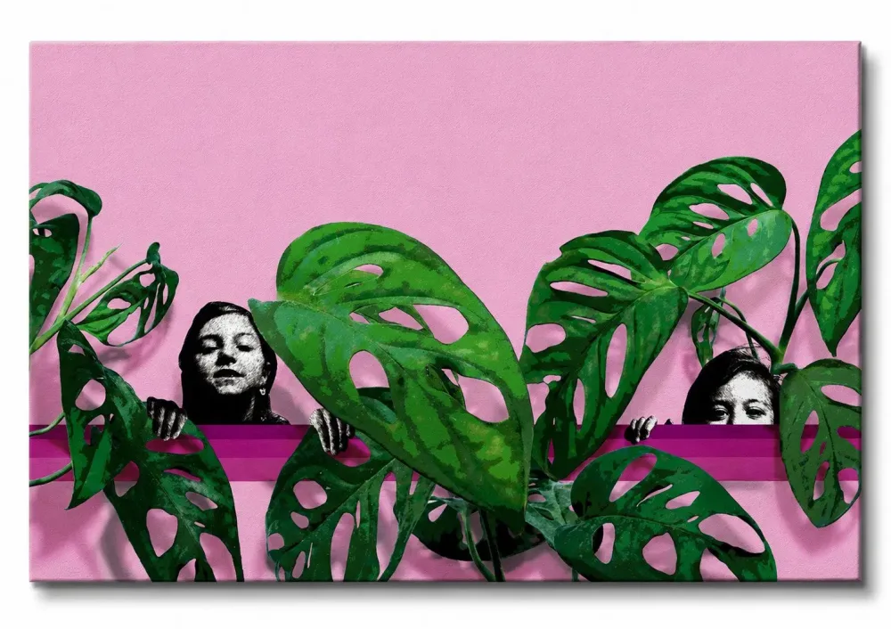 SERIE BOTANICA: MONSTERA ADANSONII