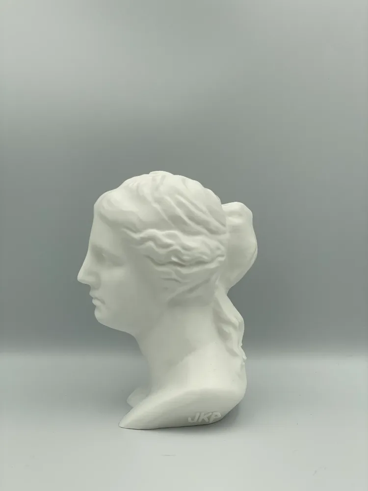 VENERE - immagine 2
