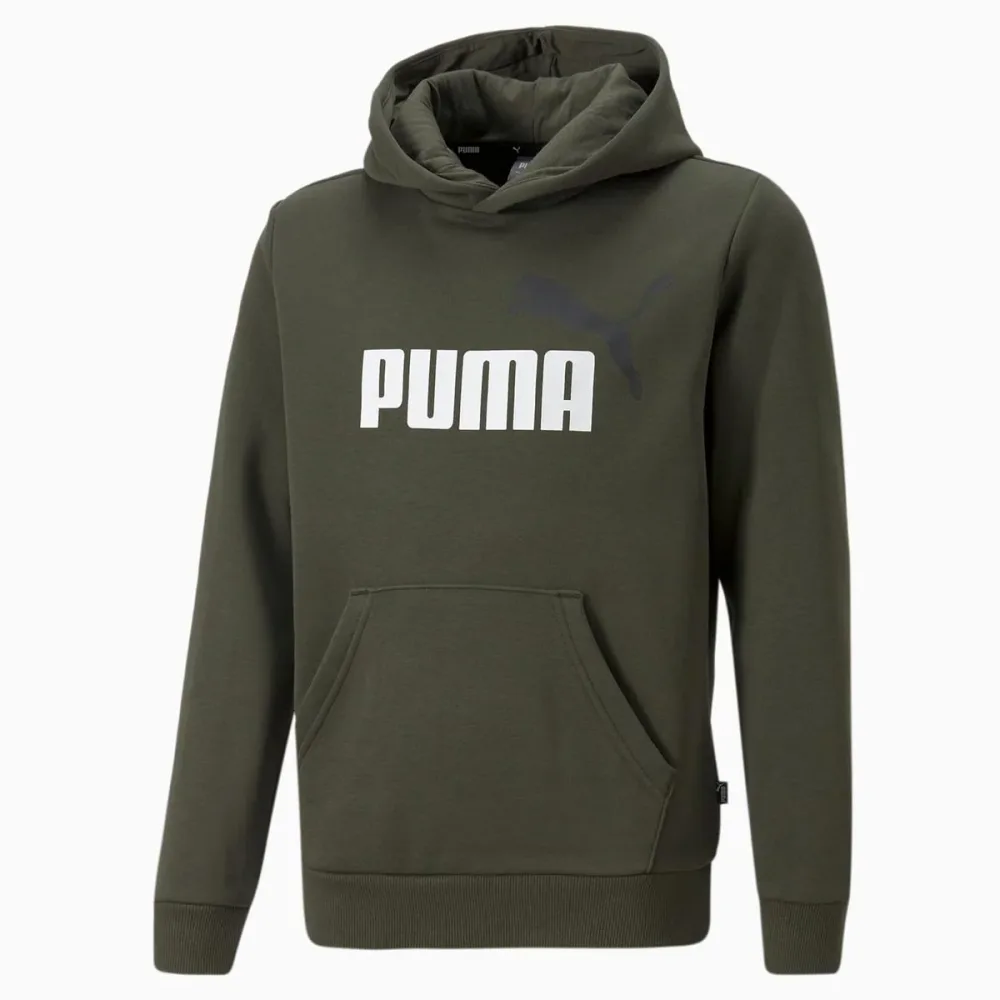 Puma Felpa Junior Ess + 2  Col Big Logo Hoodie