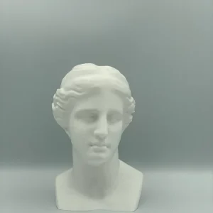 VENERE VENERE