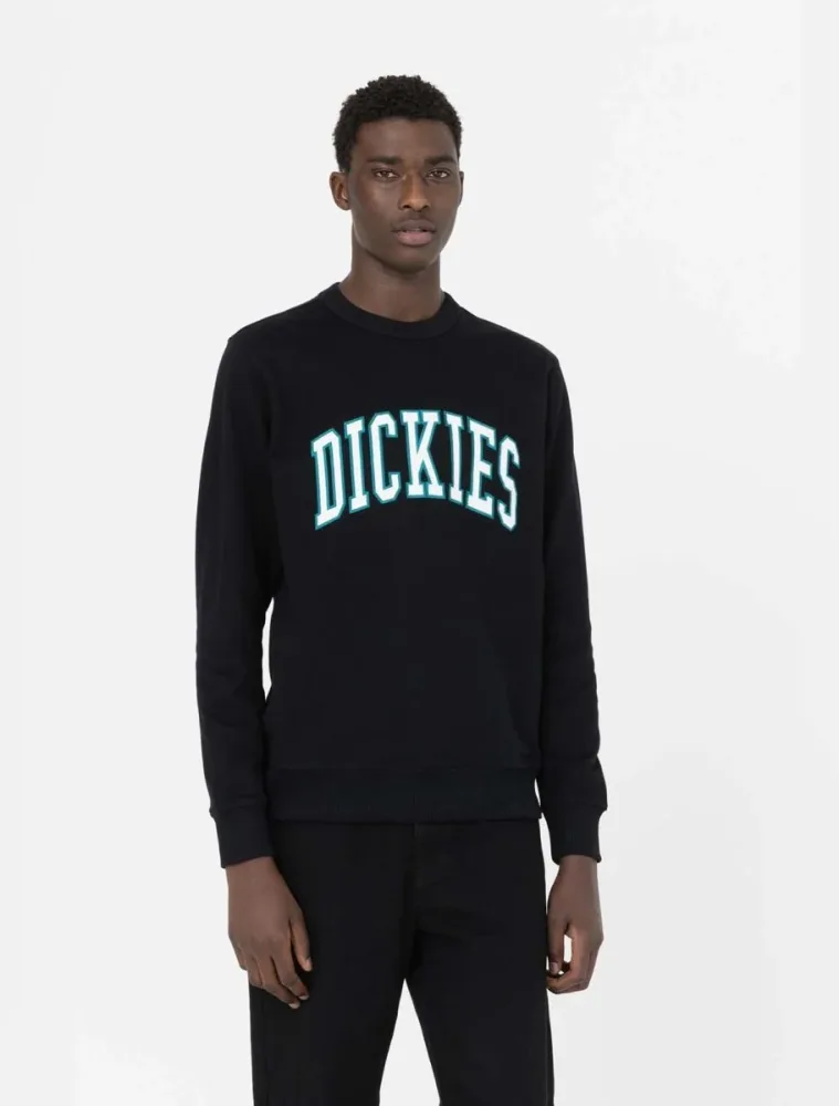 Dickies Felpa Uomo Aitkin Gc - immagine 3