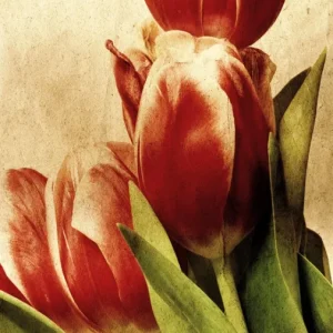 Tela Quadro Misure 70×150 Canvas –   Collezione Quadri floreali cod. FLP-17