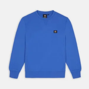 Dickies Felpa Uomo Mount Vista