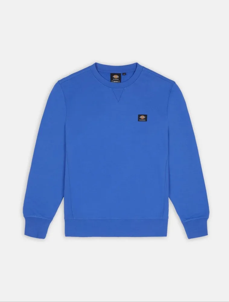 Dickies Felpa Uomo Mount Vista