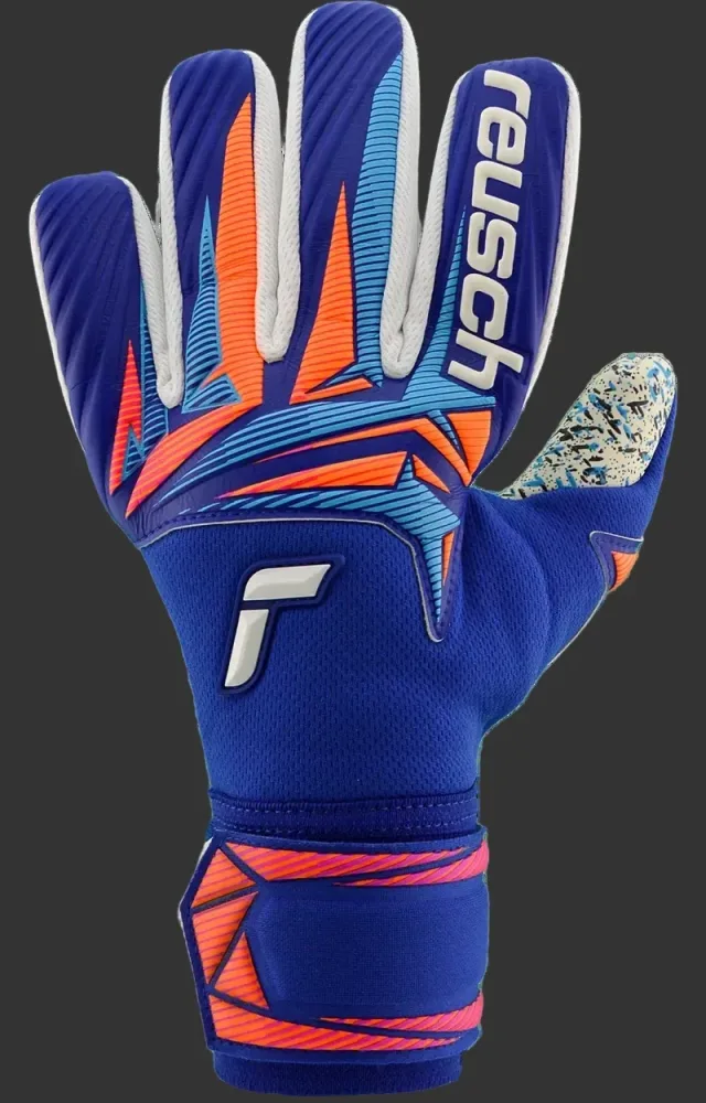 ATTRAKT FUSION NC