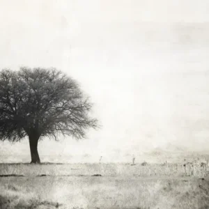 Tela Quadro Misure 70×150 Canvas – Paesaggio bianco/nero – Collezione Quadri Fotografici cod. FOP-51