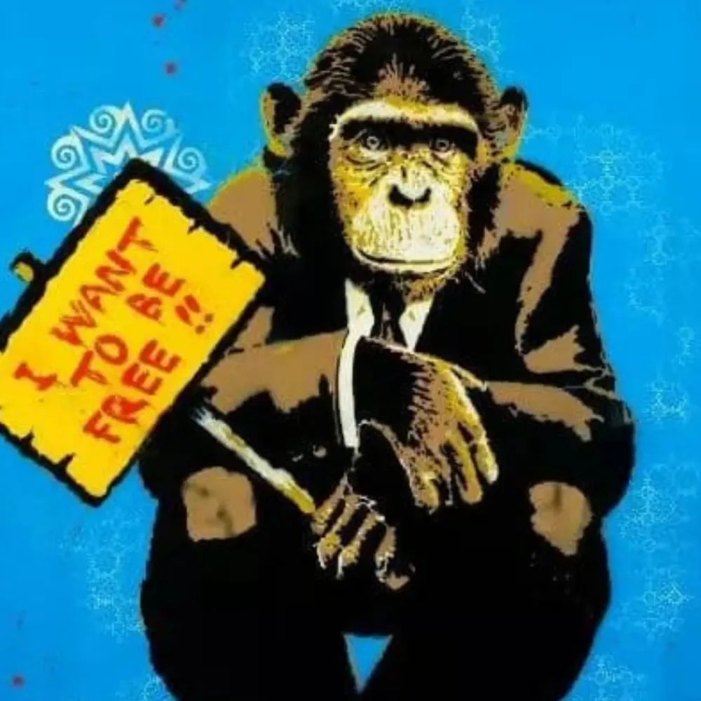 I WANT TO BE FREE - immagine 2