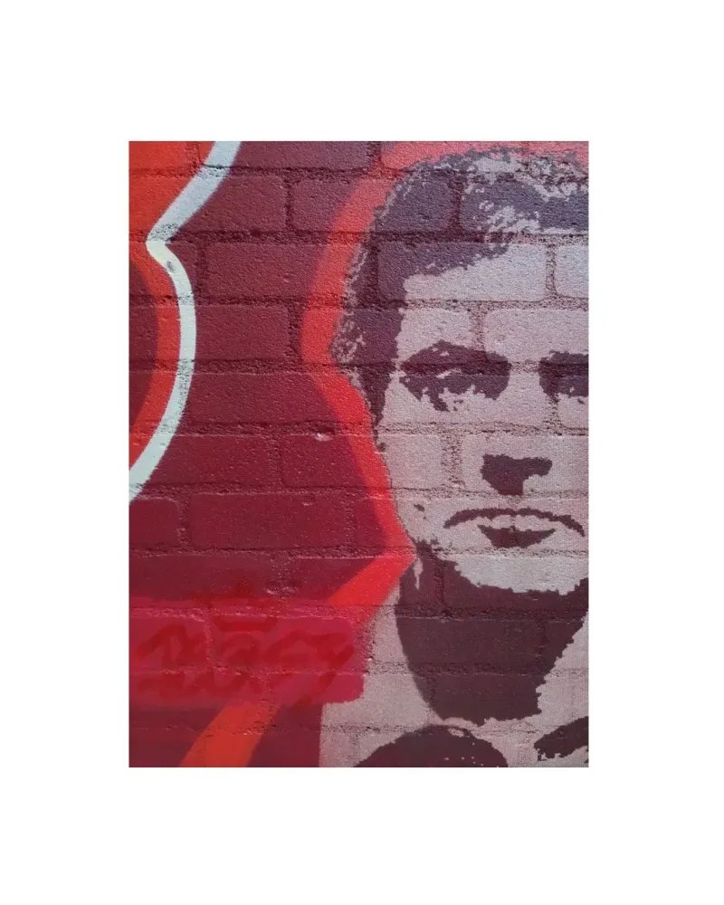 MODÌ RED LOSTWALL