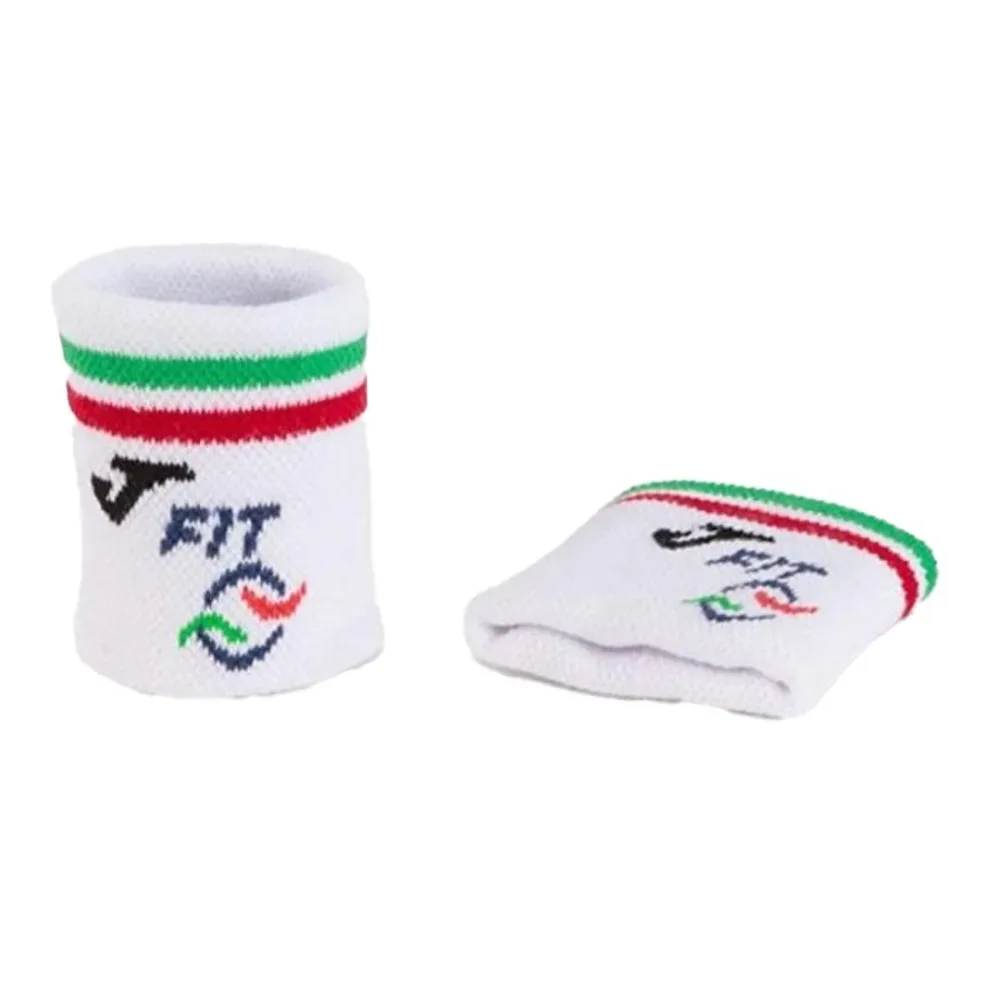 Polsini